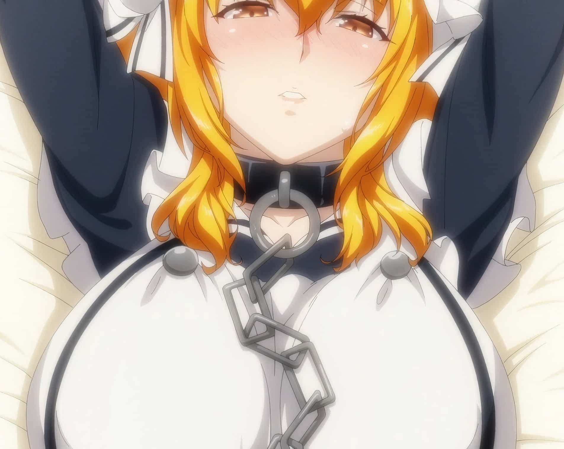 Isekai Meikyuu de Harem wo sin censura 6 ind