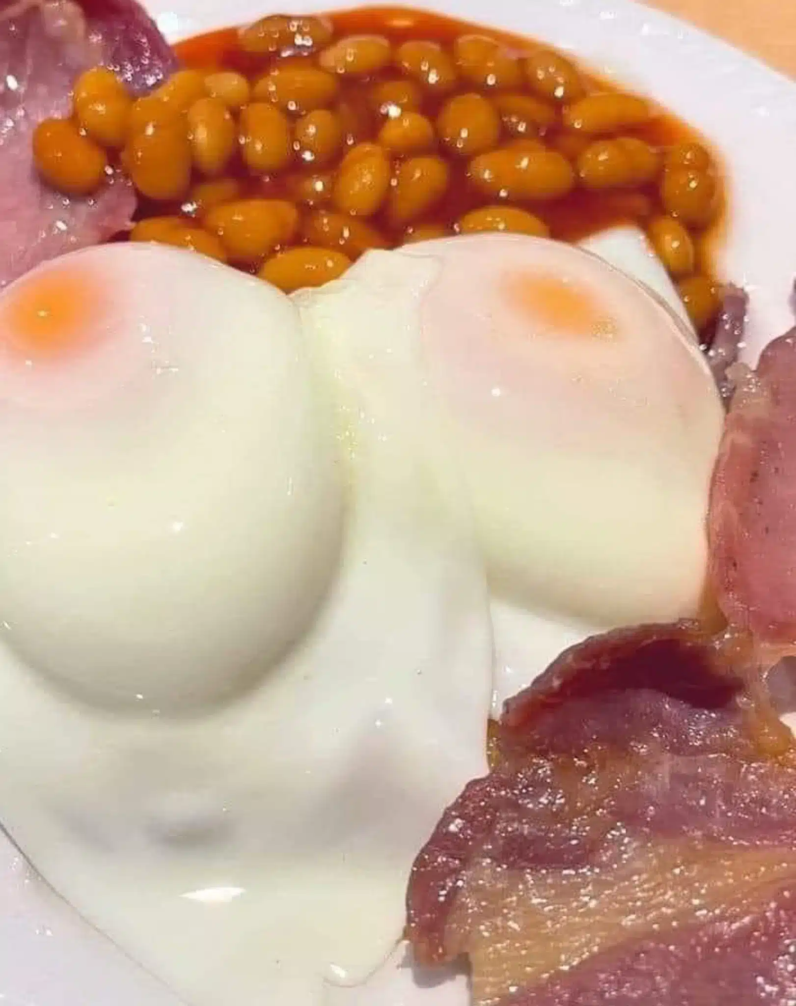 Breakfast chan original Breakfast-chan