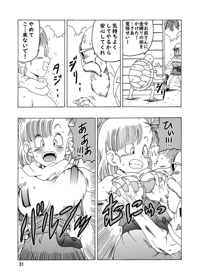 ブルマ本神龍の伝説 Bulma Book Legend of Shinryu 8 ブルマ本神龍の伝説 Bulma Book Legend of Shinryu 8