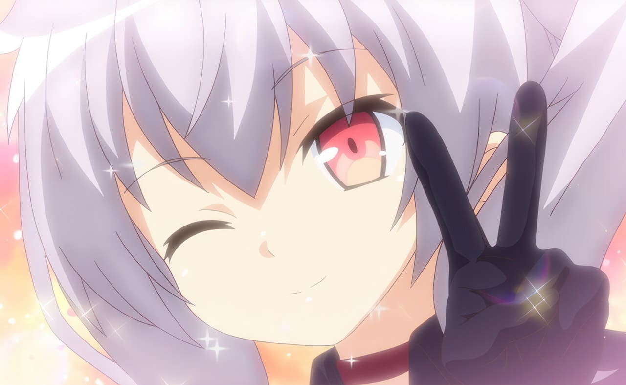 Night Tail anime h 30 ind Night Tail anime h 30 ind