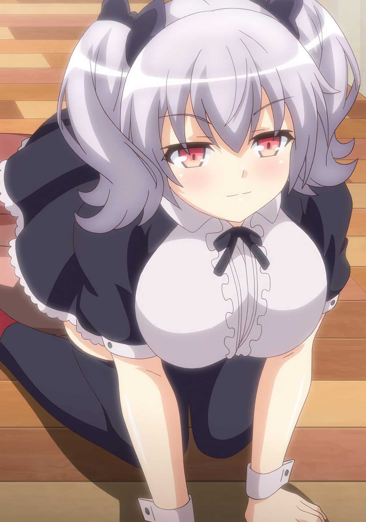 Night Tail anime h 10 ind Night Tail anime h 10 ind