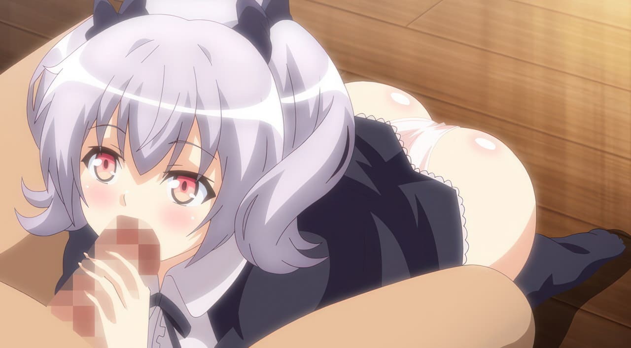 Night Tail anime h 5 ind Night Tail anime h 5 ind