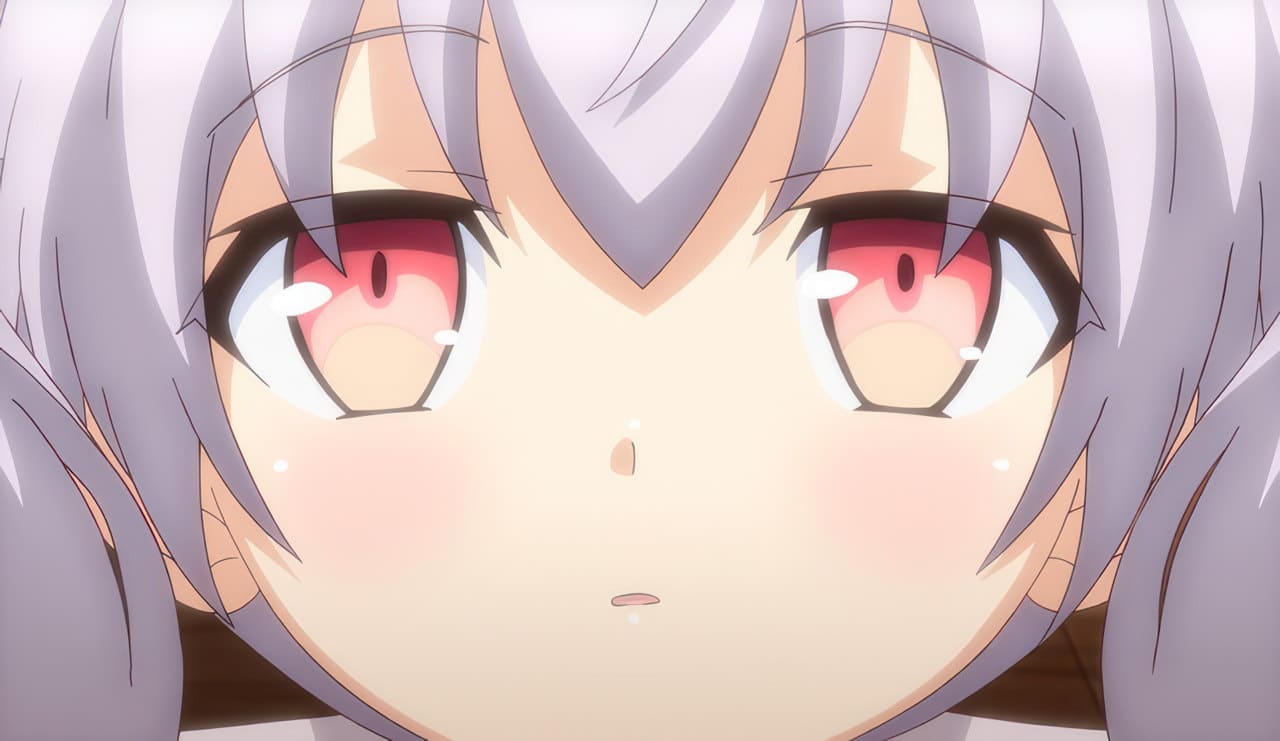 Night Tail anime h 3 ind Night Tail anime h 3 ind